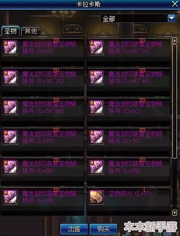 《地下城与勇士起源》全面指南：装备品级调整箱使用技巧与优化策略