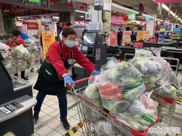 辐射4与宅豆：游戏体验与生活助手，哪个更能满足你的需求？