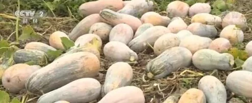 免费的行情网站app软件海口，新用户专享免费下载安装及极佳评分体验