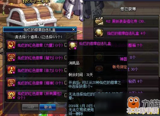 《地下城与勇士》中哪些徽章部位支持强化升级，提升角色实力策略详解