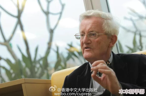 英雄联盟手游日服语言设置教程：轻松切换至中文界面指南