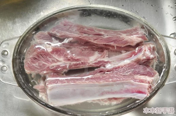 轻松解锁美味秘籍：我的休闲时光专属二级料理排骨获取与烹饪全攻略