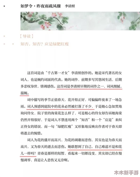 大巧娘和大庆外篇章：网友热议其独特视角与深刻内涵，称赞作品引人深思，值得一读再读