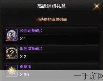 《地下城与勇士》工会系统必备：详解最佳贡献材料选择与获取途径