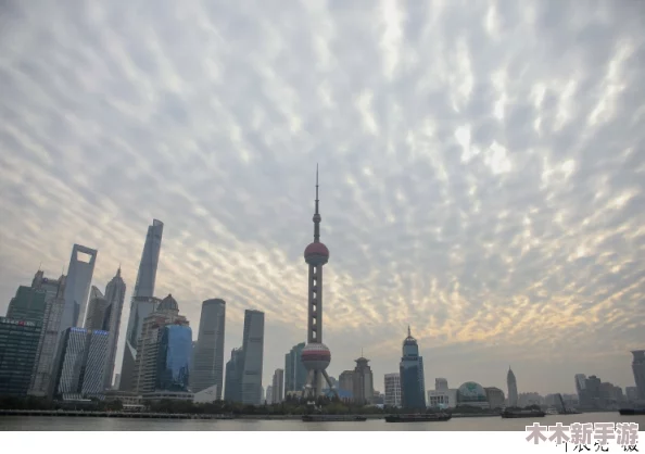 热东京：深入理解这座城市的文化魅力与现代生活方式