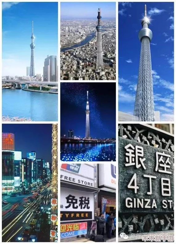 热东京：深入理解这座城市的文化魅力与现代生活方式