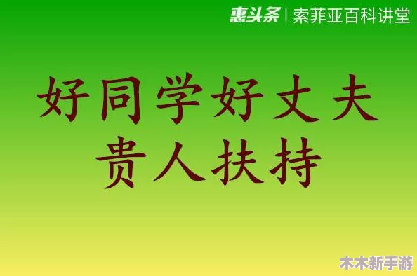 燕姐放羊老人户外访谈：深入了解这位坚韧不拔的老人在自然中生活的故事与智慧，感受他对生活的热爱与坚持
