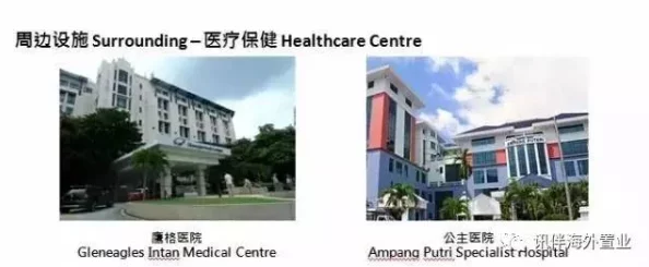 欧美怡春院：一个融合了西方文化与东方情感的独特空间，展现出多元化的艺术魅力与人文气息