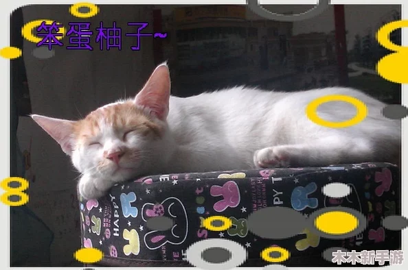 柚子猫刻晴yuzukitty致命的错误：网友热议其设计失误，反响不一引发争议！