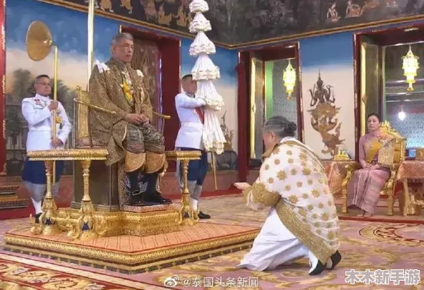 王国双君主：详尽解析号角独特效果与战略应用技巧