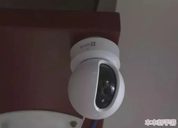 家用监控被盗800部资源，网友感叹：这年头连家里的安全都不保了，真是让人心寒！