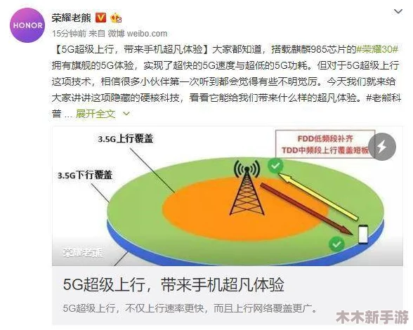 探讨荣耀与冠军：哪个更具价值与使用优势的综合分析