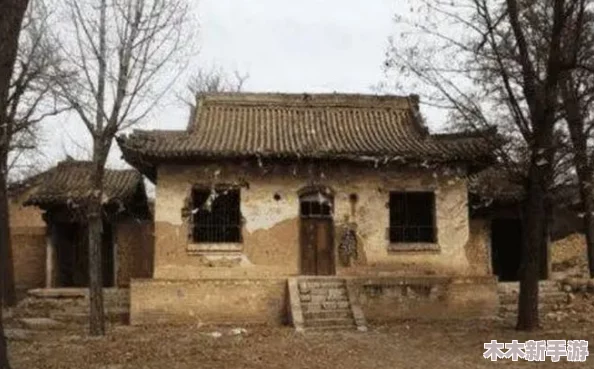 胡秀莲与瓦工在破庙的生存智慧与文化碰撞