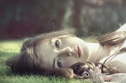 欧美性XXX：深度理解西方文化中的色情产业和性观念变迁