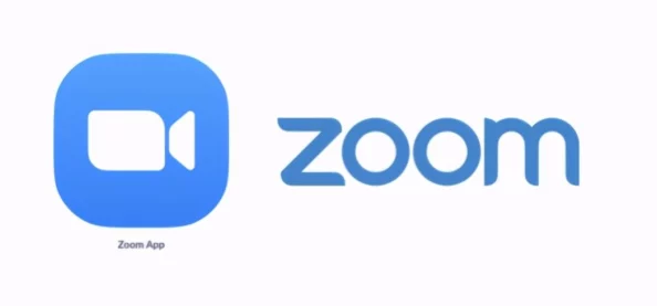 日本Zoom与国产Zoom对比：网友评价各有千秋，功能与体验皆引发热议