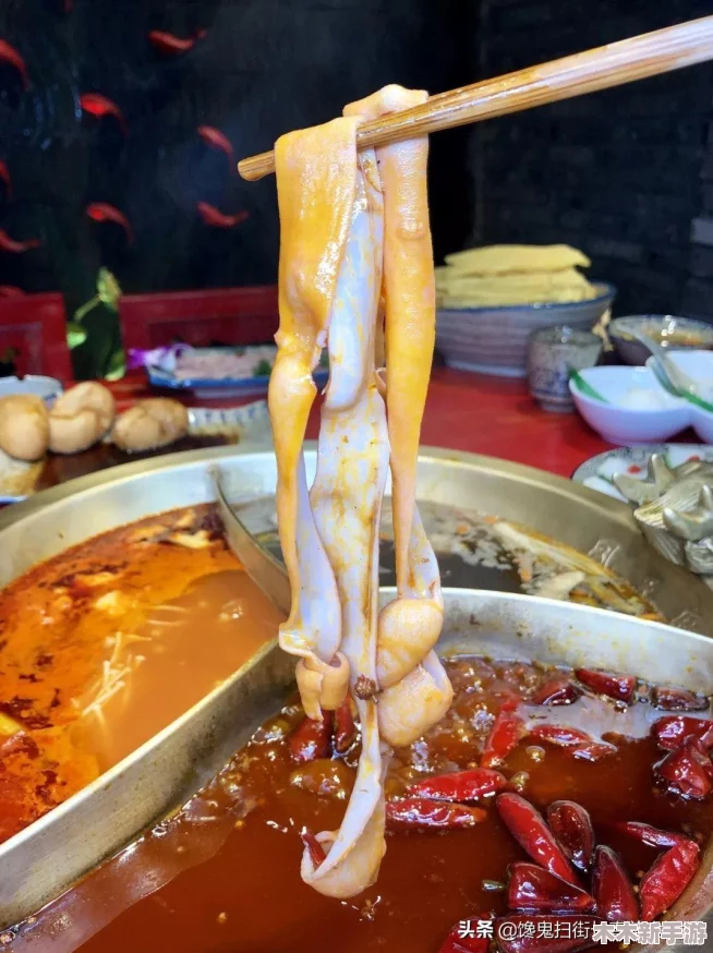 法国满天星家庭保姆：如何选择适合自己家庭的专业护理服务，提升生活质量与幸福感