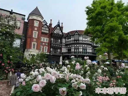 探索饼干人王国公会博物馆：全方位玩法指南与趣味揭秘
