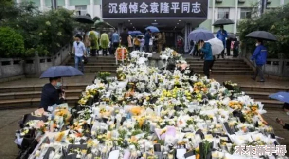 太VBnbbbbbbbvbb：在这个充满变化的时代，如何理解和应对复杂的信息与情感交织带来的挑战与机遇