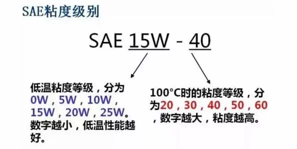 柔佳文枫，用户评价高度评价其服务质量，超出预期的体验与专业态度让人惊喜