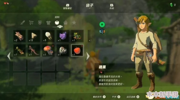 《塞尔达传说：智慧再现》惊现游戏漏洞，玩家巧用林克技能实现另类通关策略