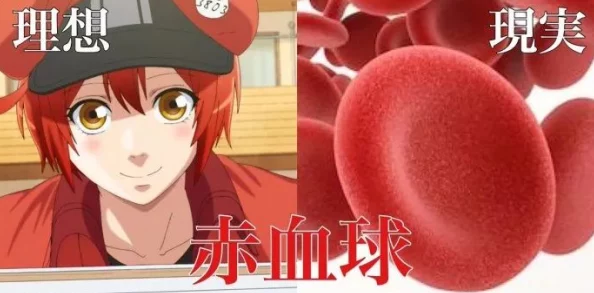 肉伦疯狂肉体 公交车动漫：这部作品通过夸张的情节和角色设定，展现了人性与欲望之间的冲突，引发观众深思