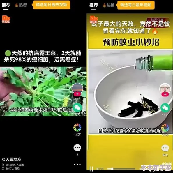 小蝌蚪视频下载：网友评价如何？使用体验与资源获取的真实反馈分享