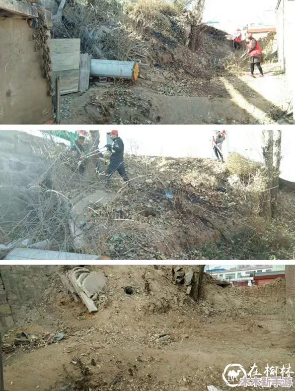 二人世界拔萝卜是什么梗 网友热议：这不仅是搞笑，更是一种默契的体现！