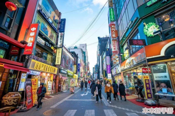 韩国精品一区：深入了解这一独特区域的文化、时尚与美食，感受其魅力与活力