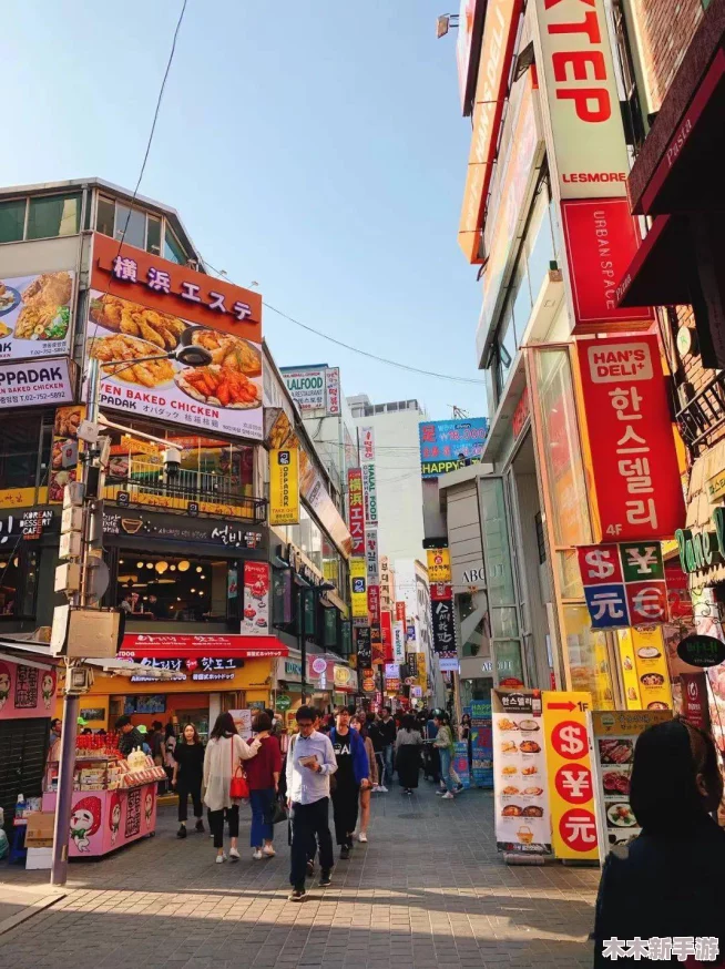 韩国精品一区：深入了解这一独特区域的文化、时尚与美食，感受其魅力与活力