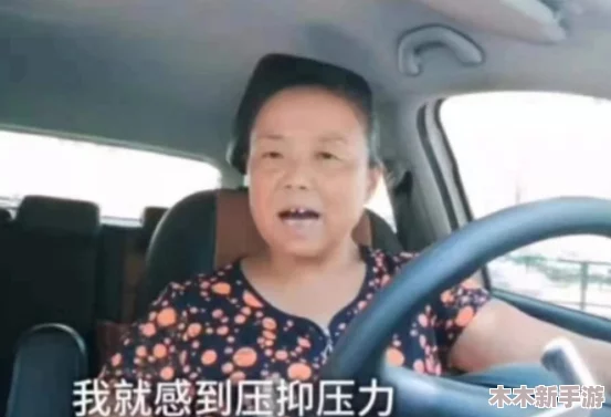 沈阳暴躁老阿姨：当城市生活压力与人际关系碰撞，如何理解她的愤怒与无奈？