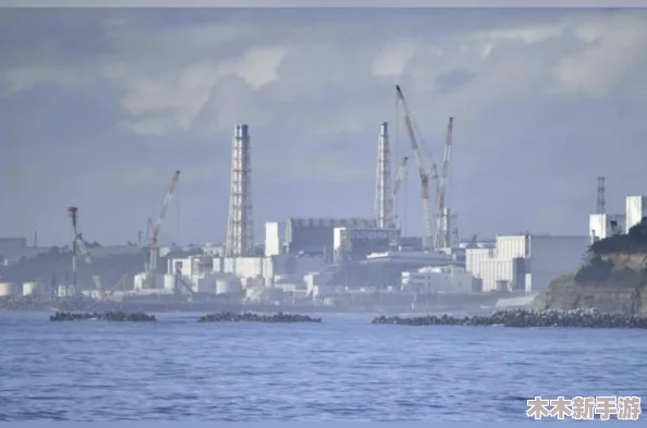 日本免费三色电费2024年政策解读，揭示居民用电新潮流