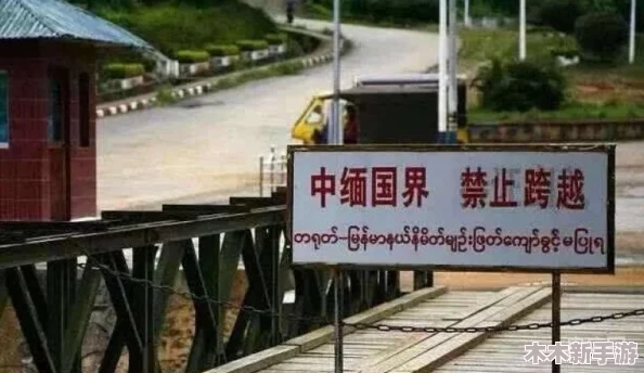 缅甸北部血腥网站2023黑网：揭示这一地区暴力与网络犯罪交织的复杂现象及其对社会的深远影响