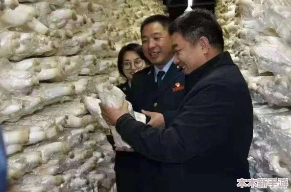 日产久久：为什么这款车型在市场上如此受欢迎？