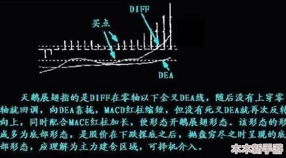秘密人口mini1A：深入解析这一神秘项目背后的真实意图与影响，揭示其对社会结构的潜在影响和未来发展趋势
