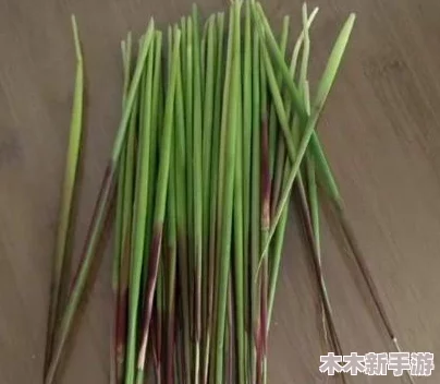 光腿拔萝卜：这个活动太有趣了，让我感受到了童年的乐趣与快乐！