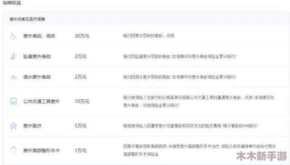 九幺高危风险9.1网页版：专家评价揭示真相