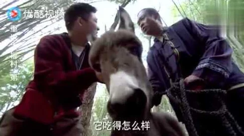 傻小子长了个驴玩意，真是让人哭笑不得，网友们纷纷留言表示无奈和搞笑