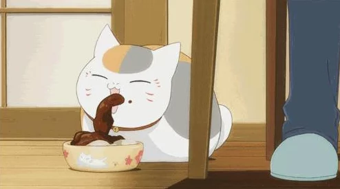 探索热血江湖：细数那些颜值爆表的猫咪角色，哪款最吸引你的眼球？