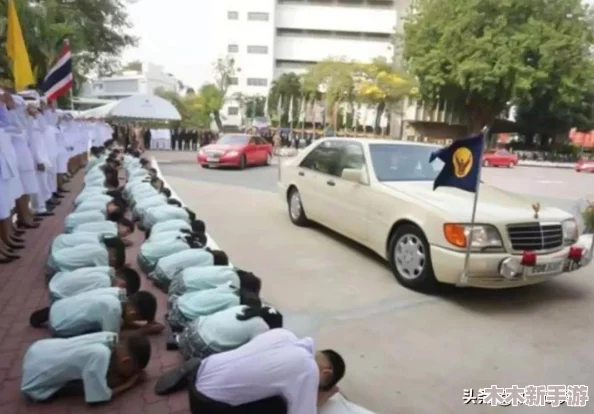 鹅鸭杀游戏中：傀儡与法师角色的真实性探讨及玩法解析