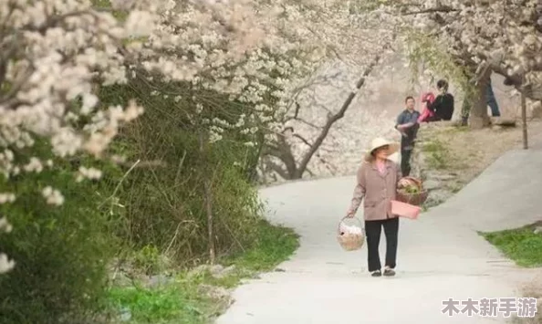 日本乡下有许多亲近相尾换伴，网友评论：这样的生活真让人向往，仿佛回到了简单而纯粹的时光