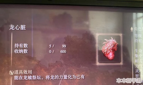 探索艾尔登法环：解析龙裔最渴望获取的龙之技能奥秘