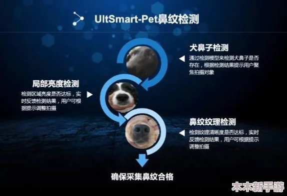 深入了解海角破解现象的技术动向与社会影响