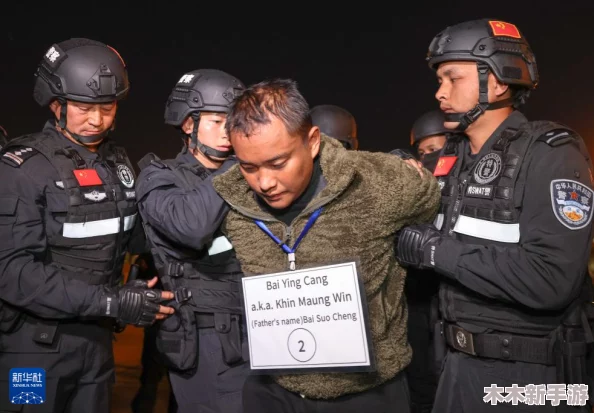 缅北北部血腥2024黑网：揭示这一地区复杂的冲突背景与网络犯罪活动对当地社会的深远影响