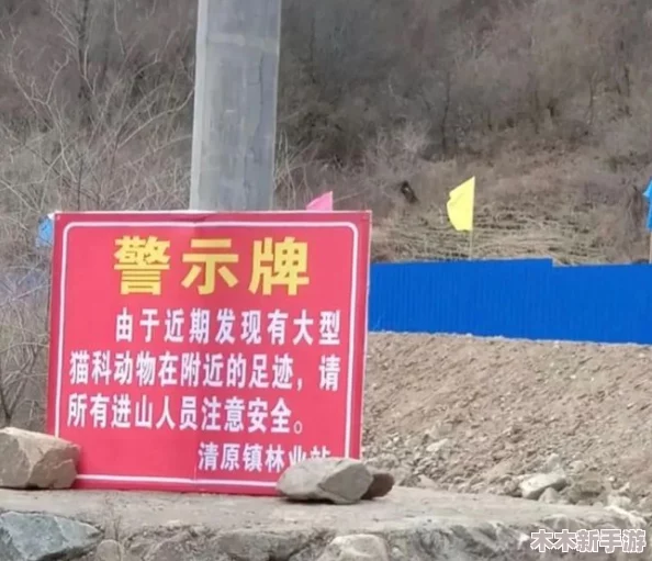 欧美ZoZ0人与物物动：网友热议这一现象，认为其反映了现代社会的独特互动方式与文化碰撞，引发广泛讨论