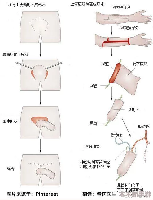 但是睾丸被注入了高浓缩药剂，这种实验真的靠谱吗？网友们纷纷表示担忧，科学伦理何在？