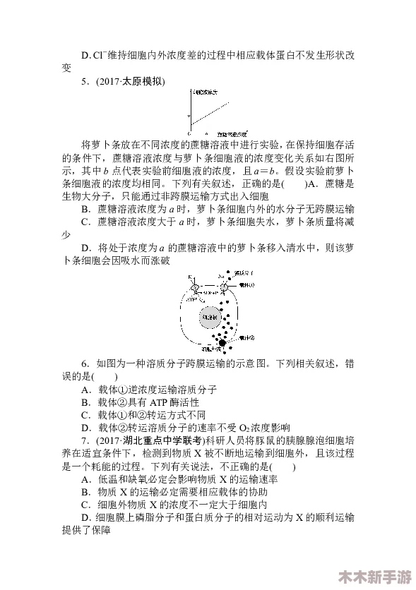 生物繁殖课老师拿班花做例子，借此说明植物繁殖的多样性与重要性，引导学生理解自然界中的生命延续