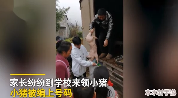 农村嫖妓Chinese偷拍，网友直言刺激又真实，体验让人难以忘怀！