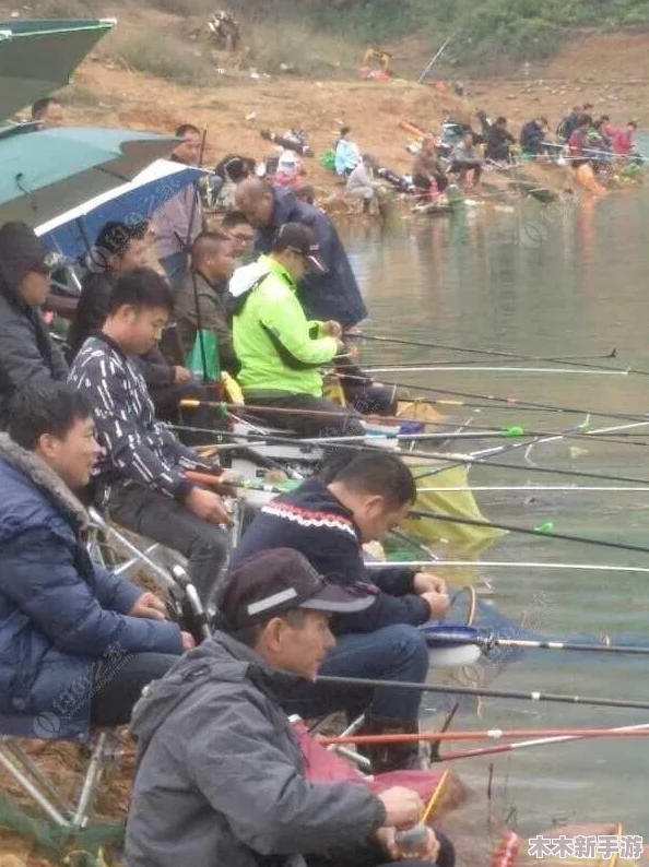 男生和女生一起差差差的app能否真正促进友谊和谐发展的深度解读