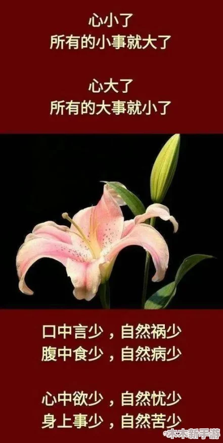 检票员用b检票按尺寸上车网站效率提升大揭秘，乘客体验全面升级