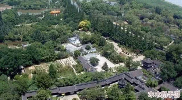 《江湖悠悠》叠翠浮青武学全面剖析与实战策略指南